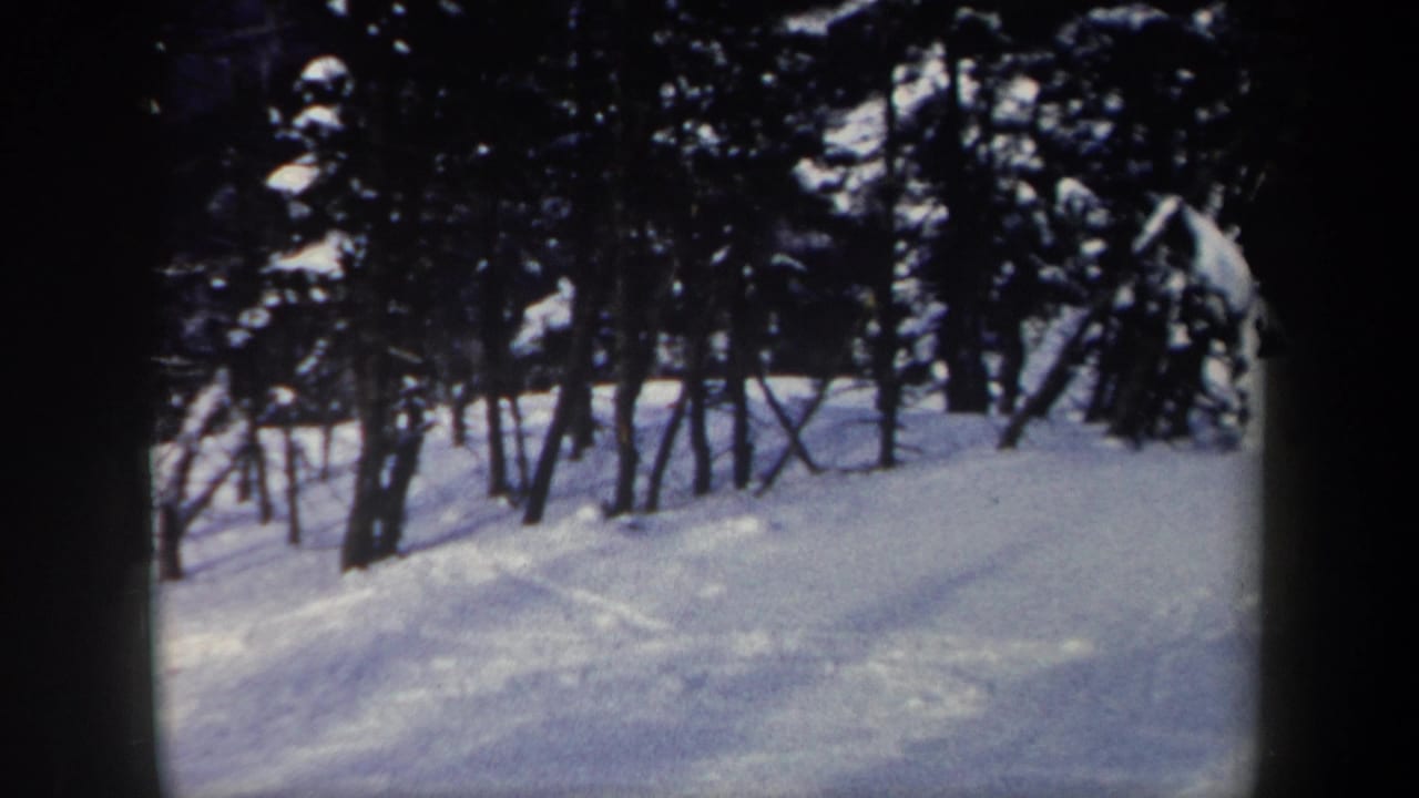 1962 New York 8mm frame showing a quiet snowy forest slope with dark trees and blue-tinted snow.