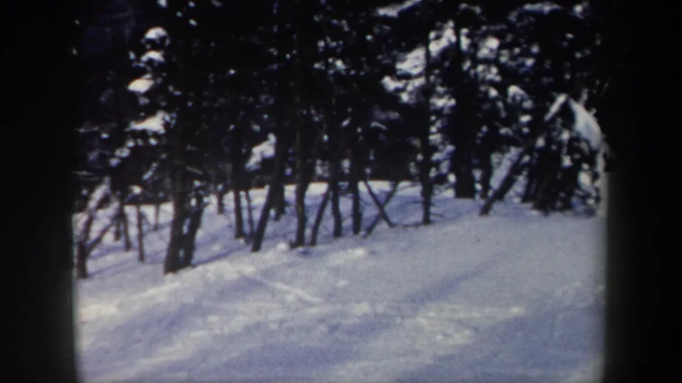 1962 New York 8mm frame showing a quiet snowy forest slope with dark trees and blue-tinted snow.