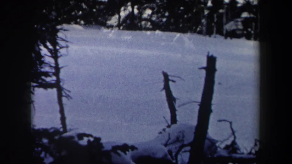 1962 New York 8mm frame of a snow-covered wooded slope, framed by dark trunks and branches.