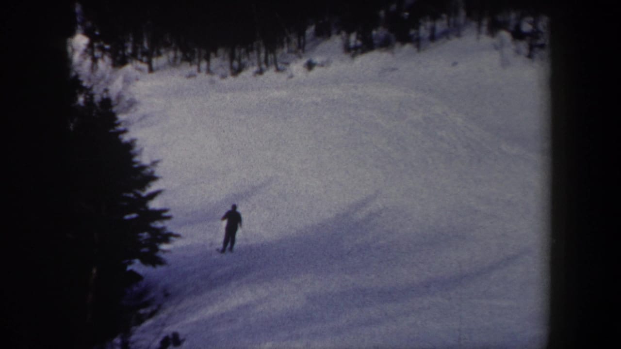 Distant skier descending a snowy slope bordered by dark trees.