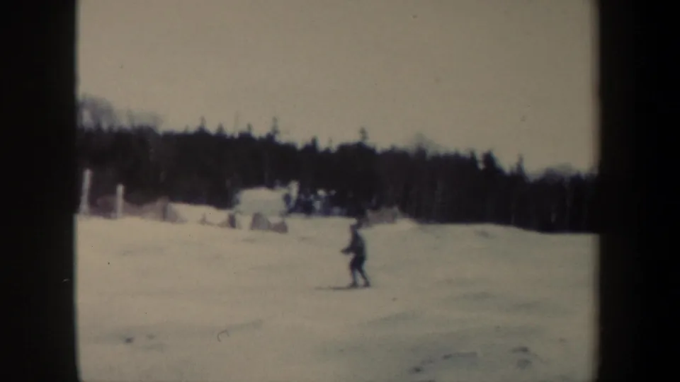 A lone skier is seen lower on the snowy field, with dark woods and pale winter sky in the background.