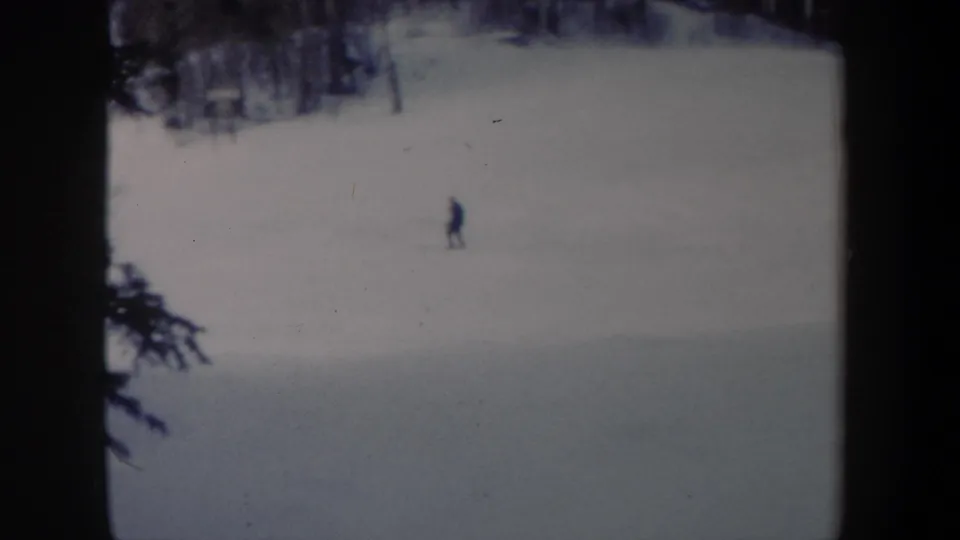 The skier is seen at a greater distance on a broad snowfield, with dark tree shapes at the edge of the frame.