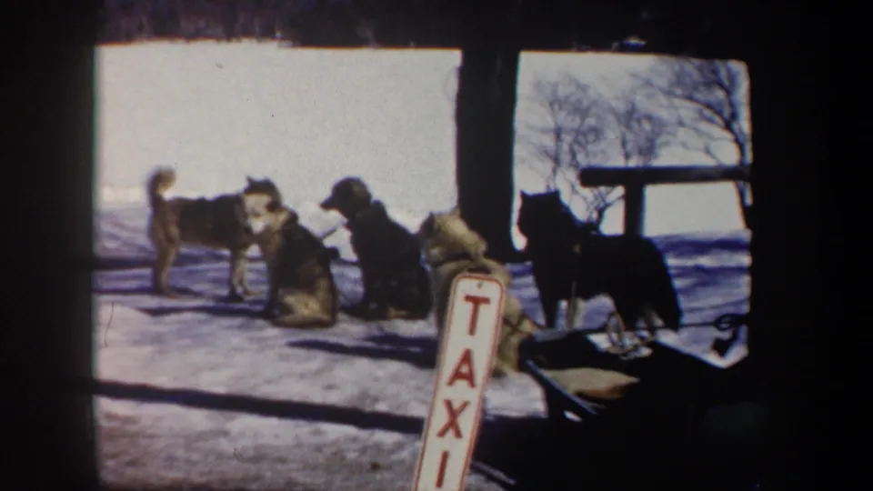 Sled dogs remain grouped in the snow, with a TAXI sign and winter trees visible in the 1962 New York home-movie frame.