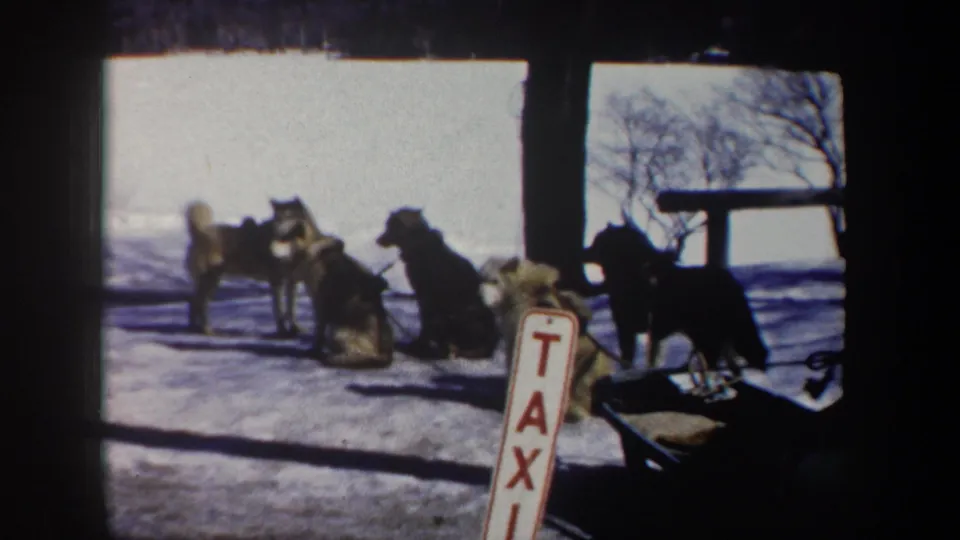 A soft 8mm frame shows harnessed sled dogs waiting on snow, partly framed by dark posts and a foreground TAXI sign.