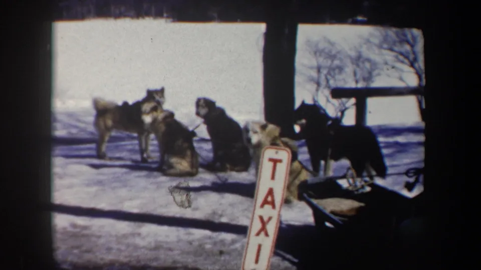 Late frame of the 1962 New York winter scene with sled dogs, snow, a TAXI sign, dark posts, and nearby sled equipment.