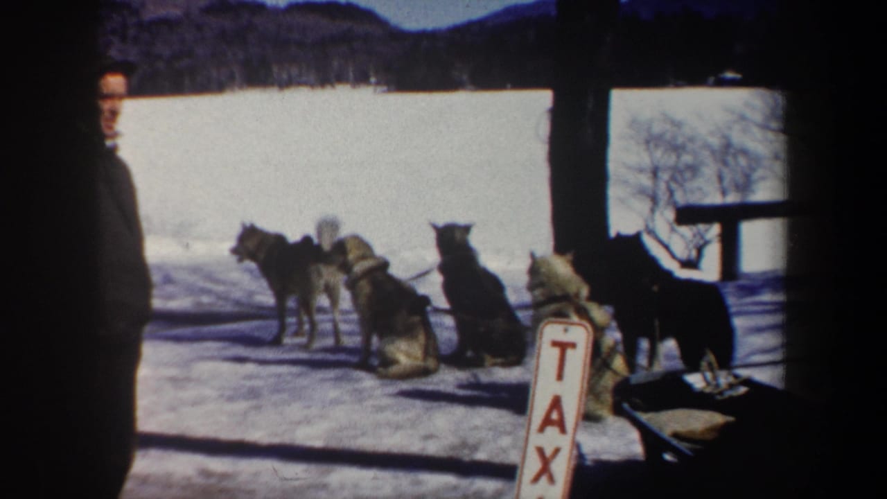 1962 New York 8mm frame showing harnessed sled dogs in a snowy landscape, with a partial adult figure at left and a TAX sign near the foreground.