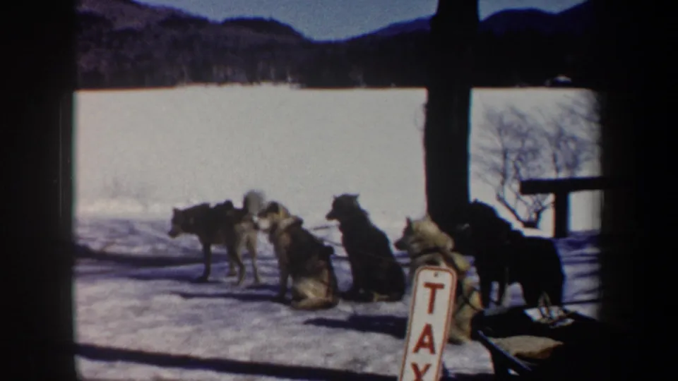 Harnessed sled dogs in a 1962 New York snowy setting, seen from a home-movie viewpoint with a red and white TAX sign and distant hills.