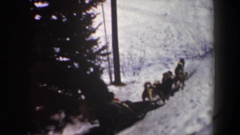 1962 New York 8mm frame with a sled dog team traveling along a snow track bordered by evergreens and a utility pole.