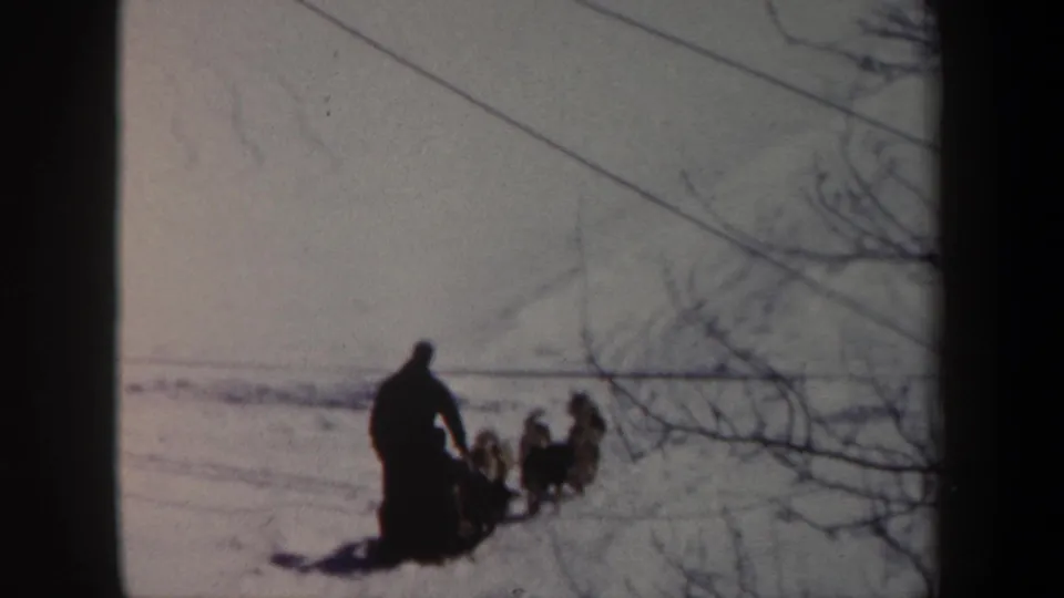 1962 New York 8mm frame with a silhouetted musher behind a dog team on a snowy path near bare tree branches.