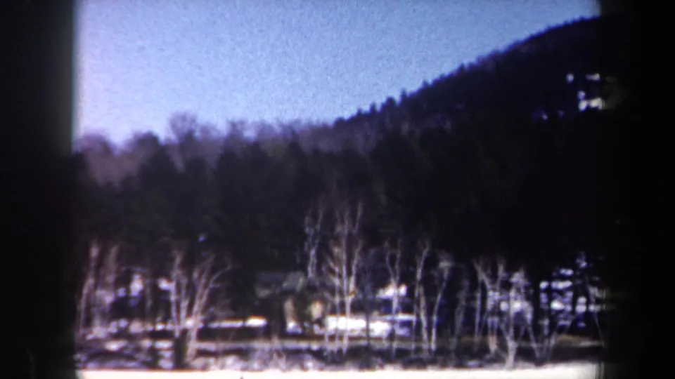 1962 New York home-movie frame showing a muted winter woodland, with bare trees, evergreens, hillside, and faded 8mm color.