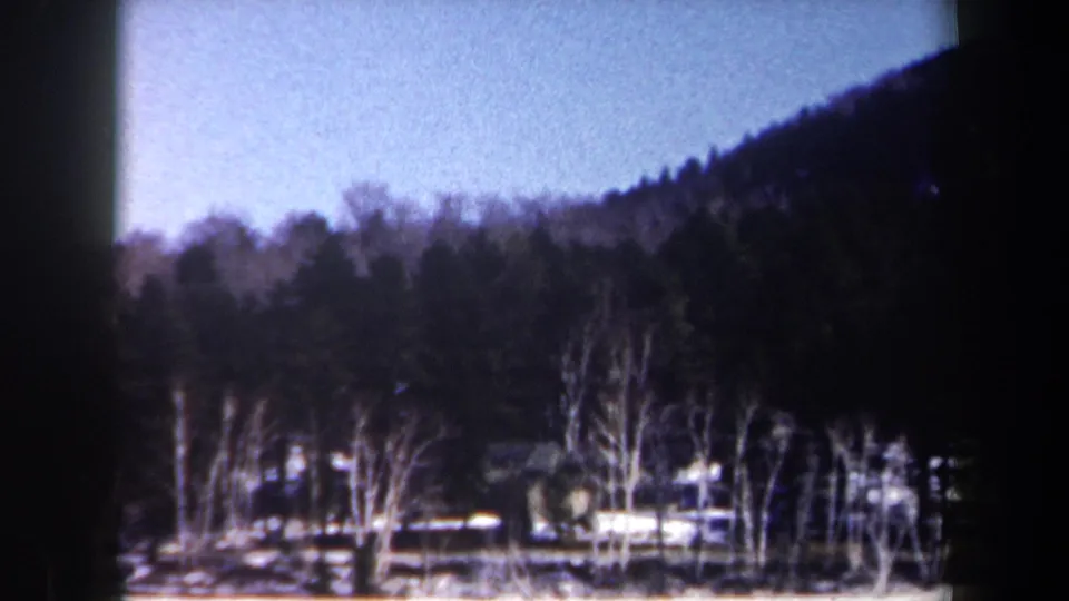 1962 New York 8mm frame of a quiet winter forest edge, showing leafless trunks, evergreens, snow patches, and a dark hillside.