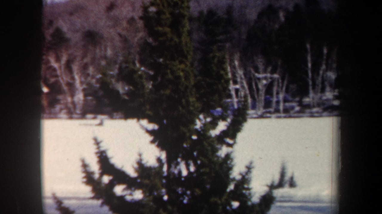 1962 New York winter frame with an evergreen in the foreground, frozen lake surface, and bare forest beyond.