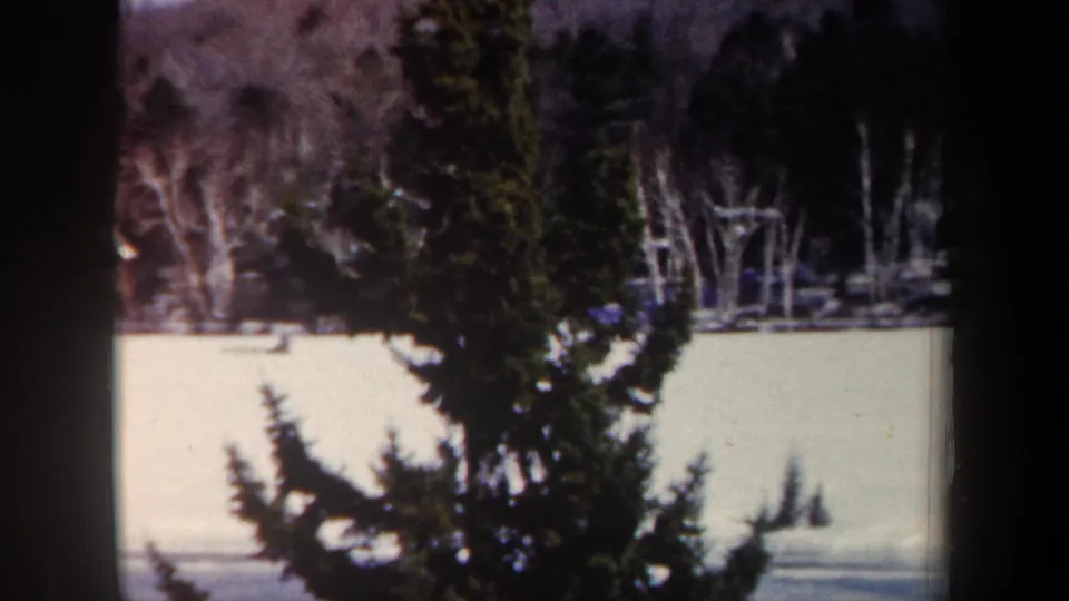 1962 New York winter frame with an evergreen in the foreground, frozen lake surface, and bare forest beyond.