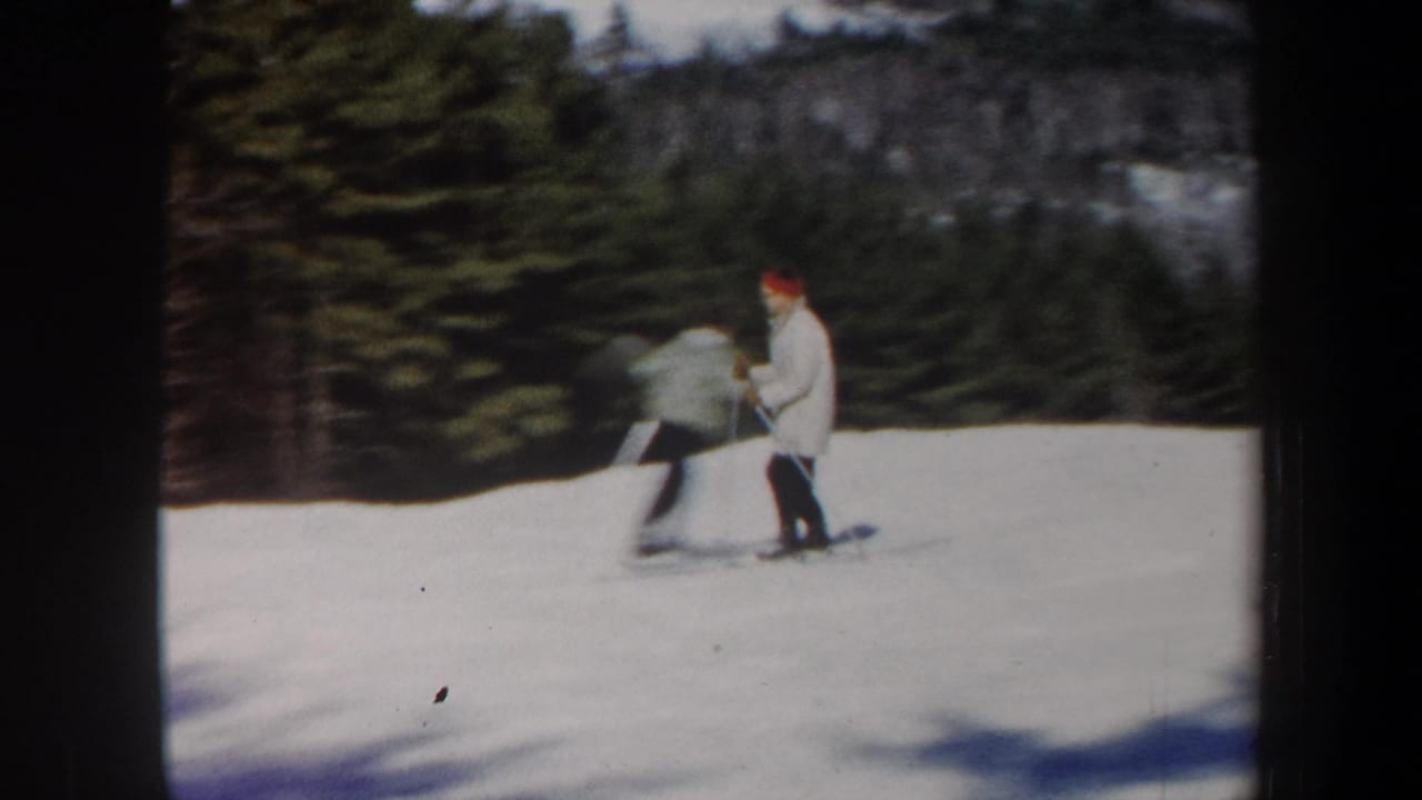 Two skiers stand or move slowly on a snowy slope with evergreen trees behind them.