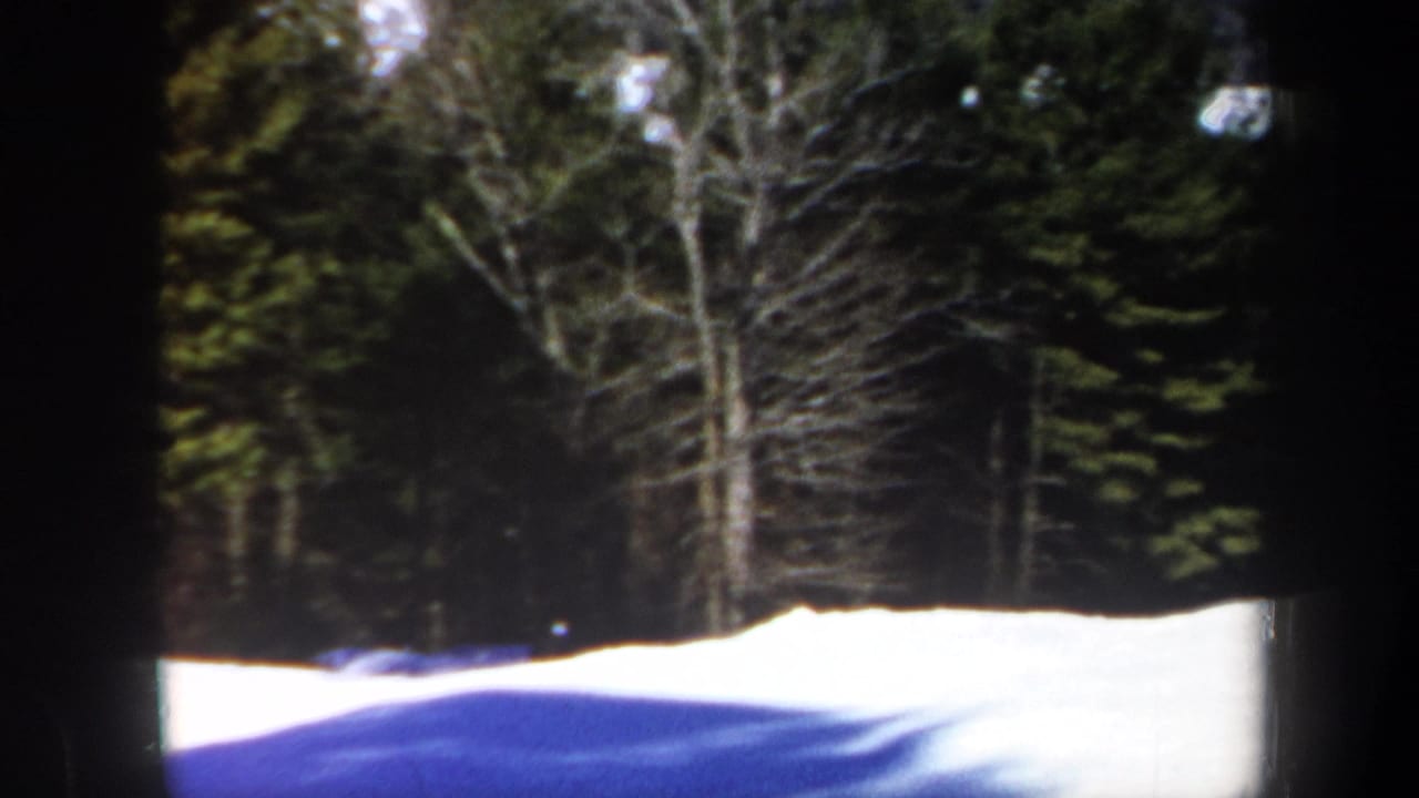 Snowy forest clearing with no clear skier visible.