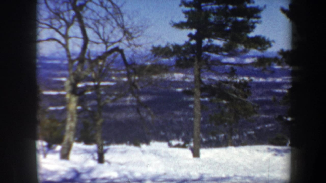 Snowy hillside with pine trees and bare branches overlooking distant blue hills.