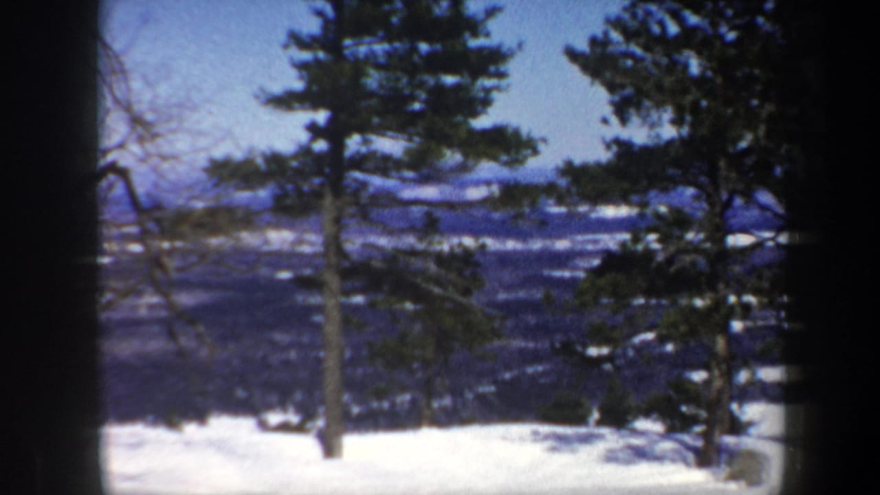 Tall trees stand in snow with a distant valley and blue hills beyond.
