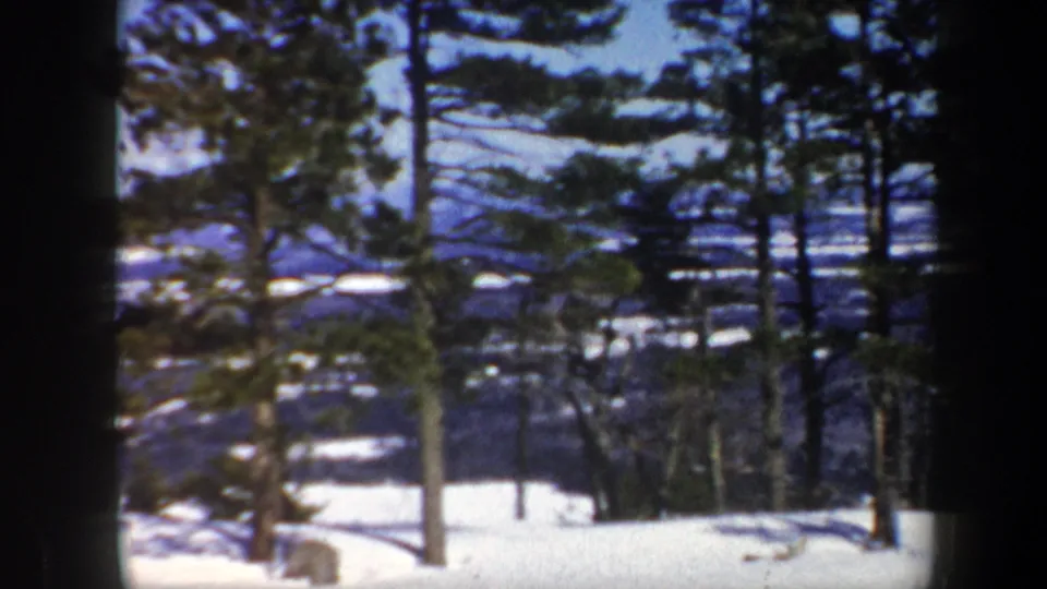1962 Vermont winter landscape frame with pines, snow, bare trees, and a distant blue valley in 8mm home-movie texture.