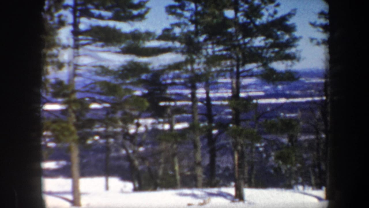 1962 Vermont 8mm frame showing tall evergreens and bare trunks on a snowy slope overlooking a blue winter valley.