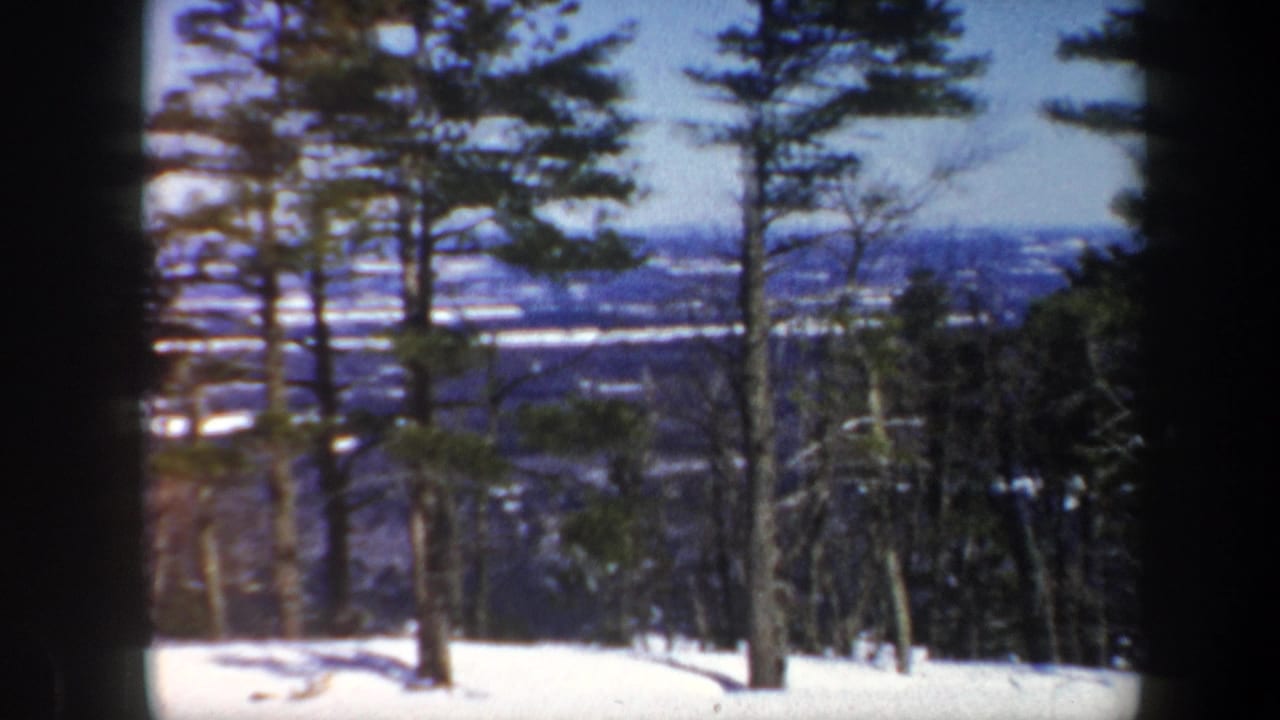 1962 Vermont 8mm frame with dark tree trunks and evergreens in a snowy foreground, looking out toward a pale winter valley.