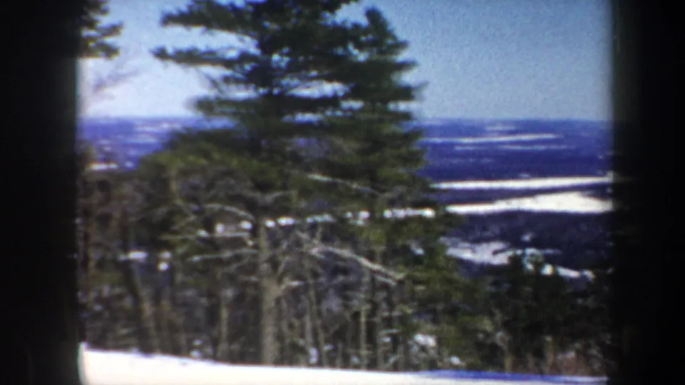 1962 Vermont 8mm frame looking through evergreens and bare winter branches across snow toward a distant valley under clear sky.