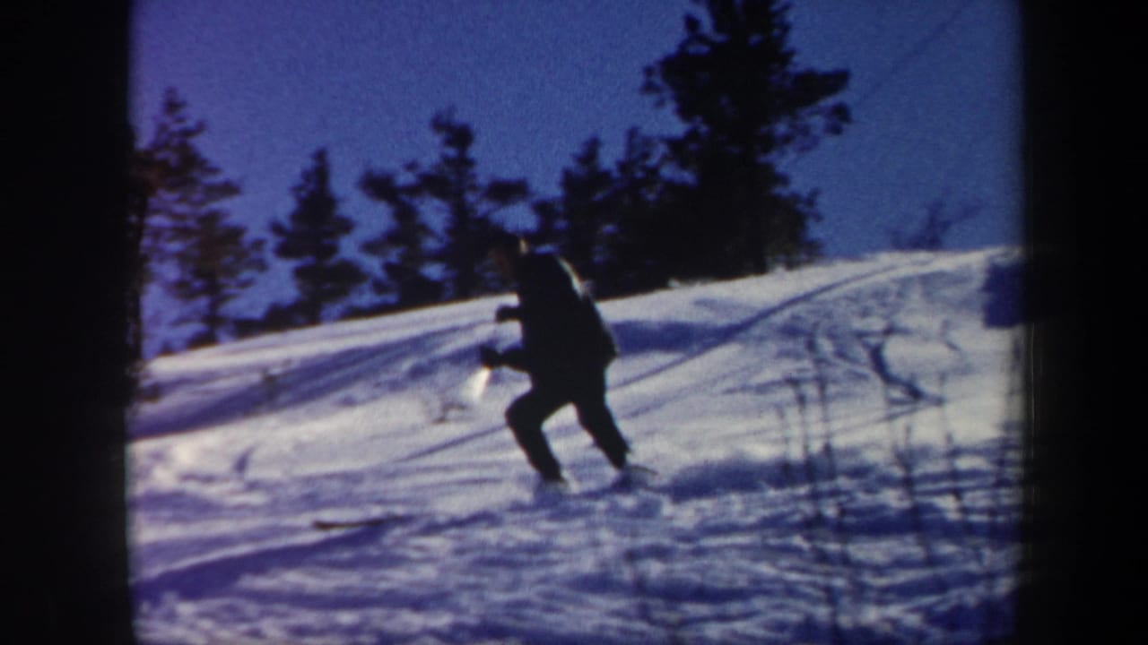 Skier crosses a bright snowy slope with poles and trees in the background.