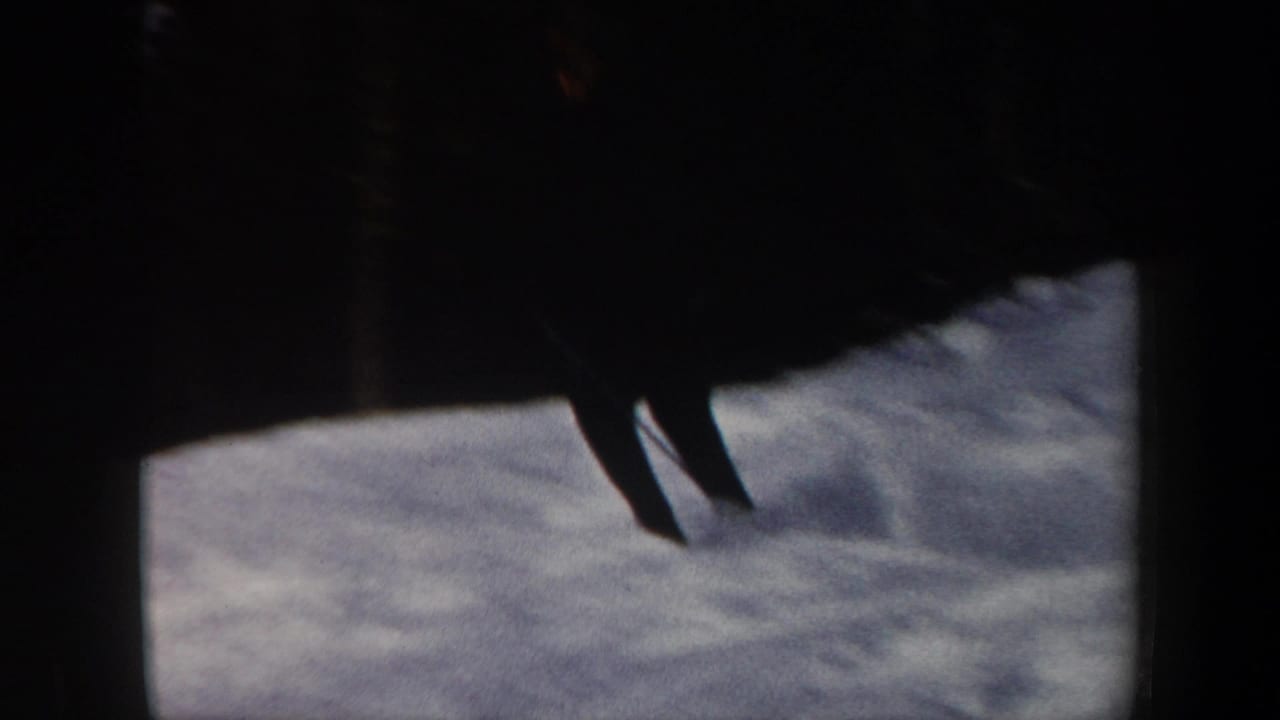 Dark silhouette of a skier crossing a snowy slope.