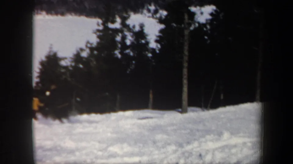 A snowy Vermont slope appears with evergreen trees, a utility or lift pole, and a small distant skier shape near the edge.