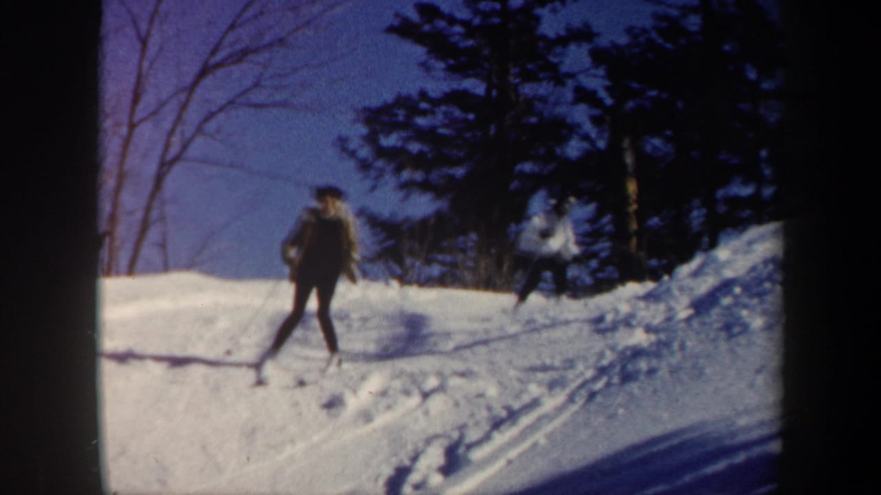 Two skiers on a sunny snowy slope with trees in the background.
