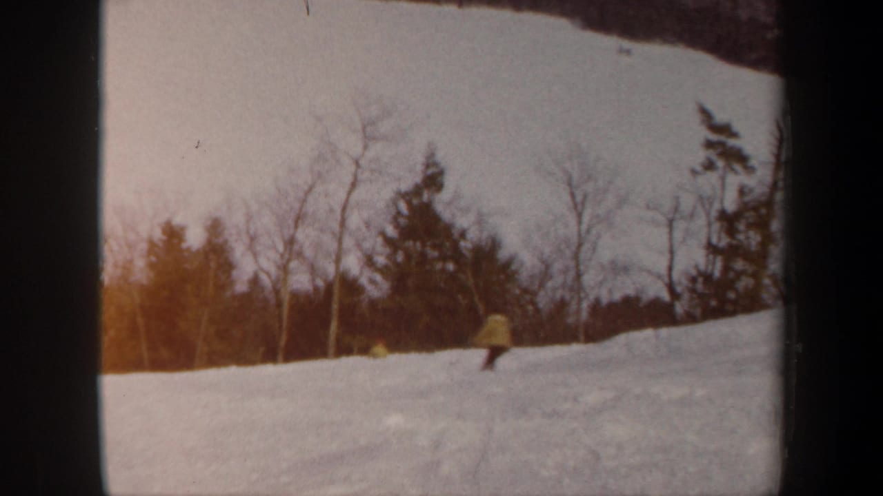 Distant yellow-jacketed skiers on a snowy hillside with leafless trees and evergreens in the background.