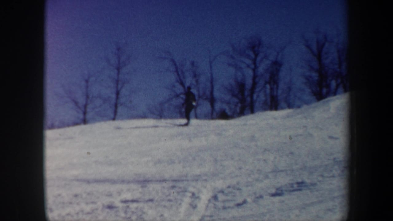 Lone skier near the ridge of a snowy slope with leafless trees behind.