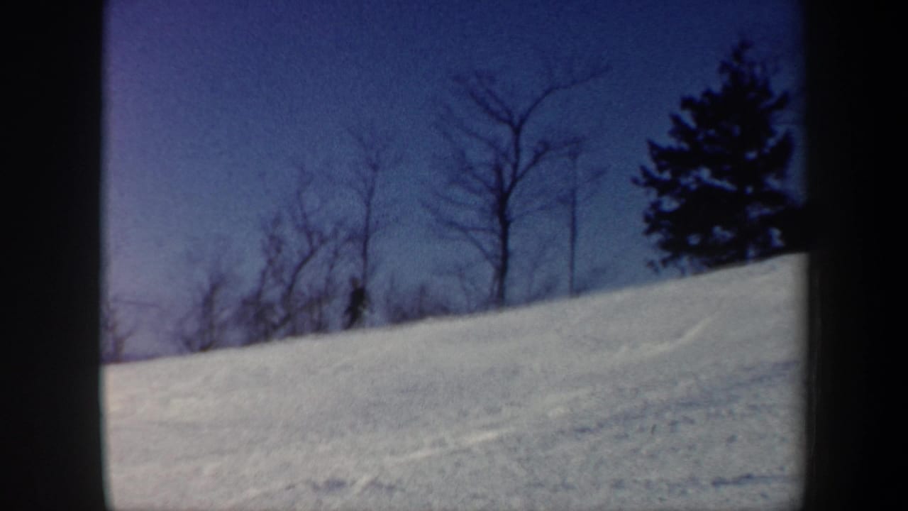 Snow-covered hillside with bare trees and blue sky.
