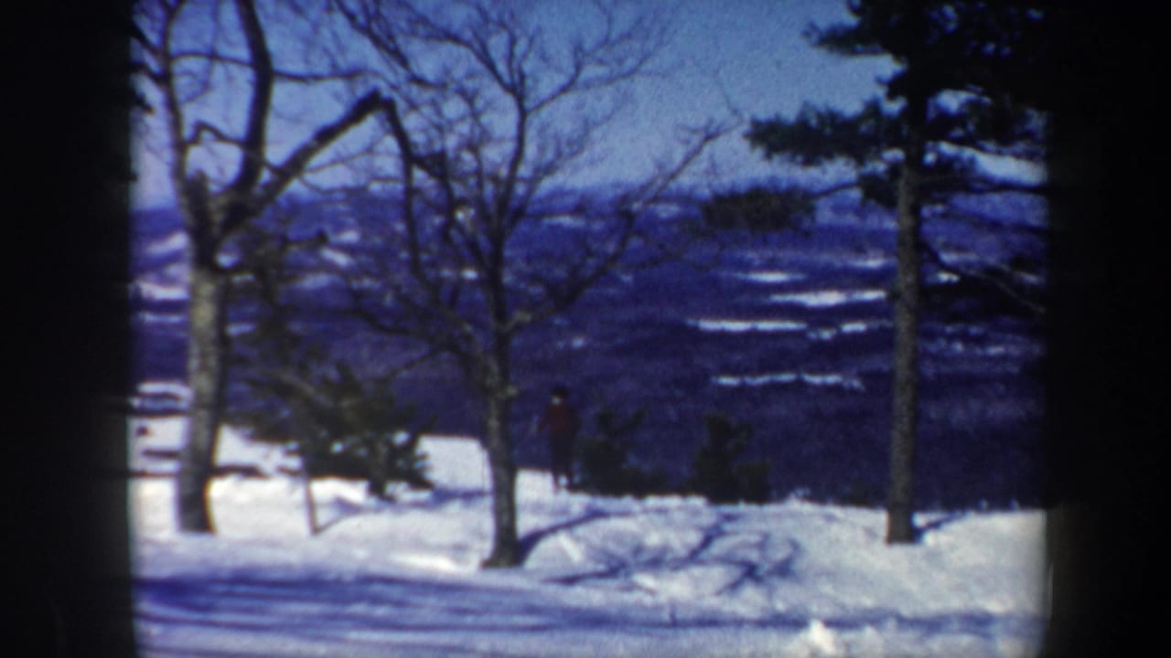 1962 Vermont 8mm frame showing a snowy wooded hillside with bare trees, evergreens, and a small distant skier.