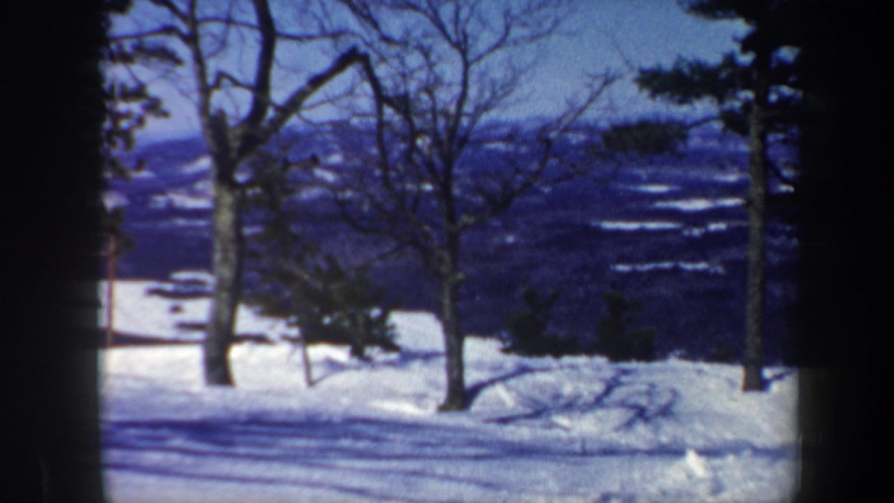Snowy hillside framed by trees with a small skier partly visible near the left edge.