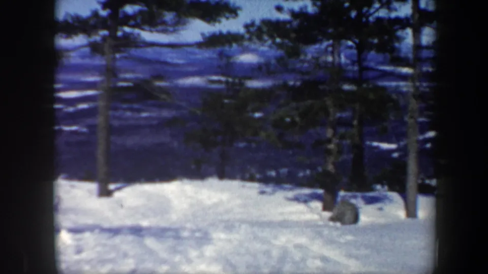 Vermont winter home-movie frame showing a snowy foreground, tree trunks, evergreens, and a broad snow-dusted valley.