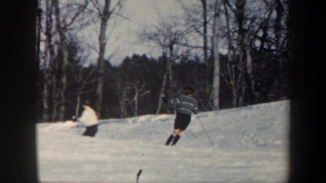 Two skiers move across a snowy slope with bare trees behind them.