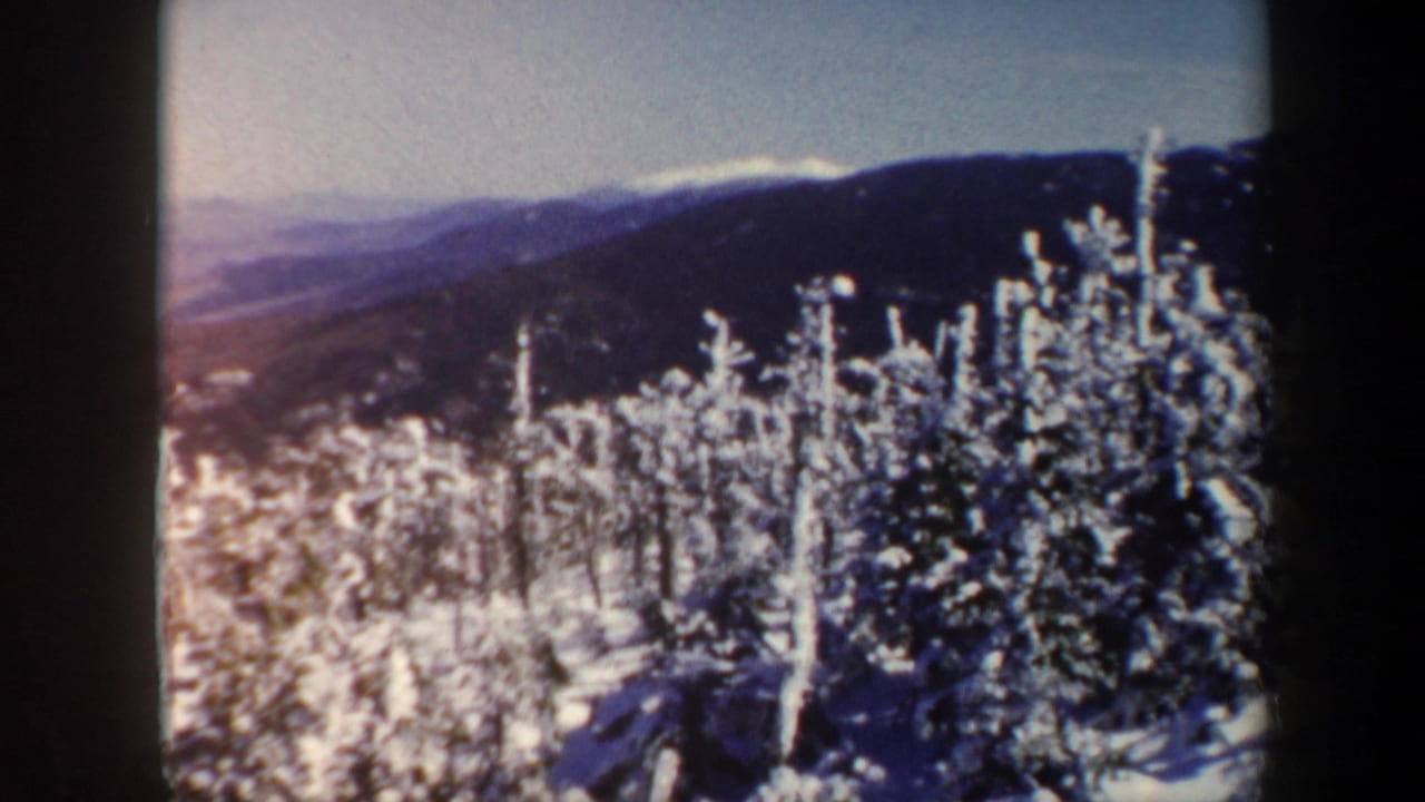 Snow-covered evergreens on a mountain slope with distant ridges under a pale sky.
