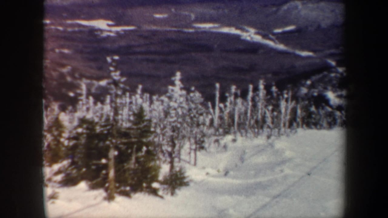 Snowy slope with frost-coated trees overlooking dark wooded hills and distant ridges.