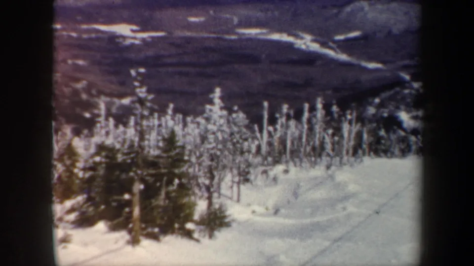 1962 Vermont winter view with snow-laden trees in front of layered hills and a broad mountain valley.