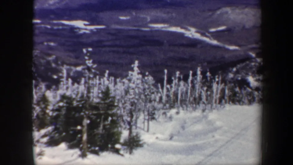 1962 Vermont winter landscape showing frost-coated evergreens, snowy ground, and layered mountain ridges beyond.