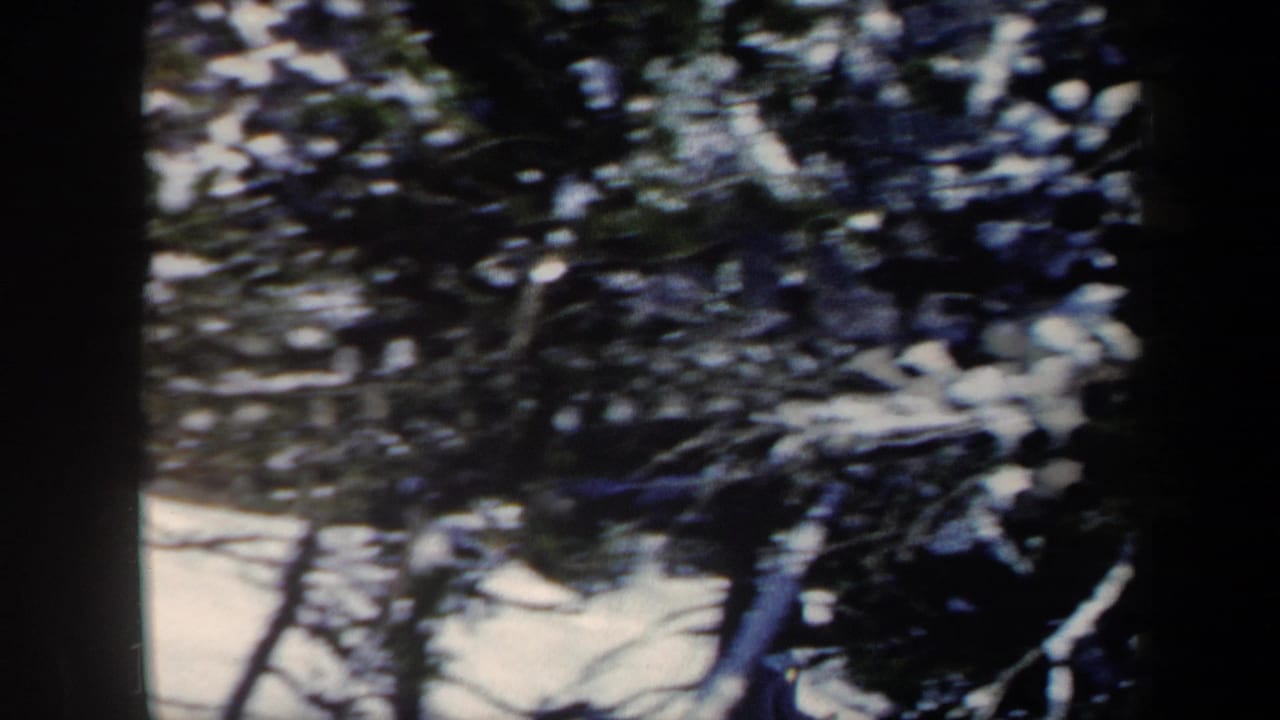 1962 Vermont 8mm frame showing snowy evergreen trees near a ski slope, with soft focus and dark film borders.