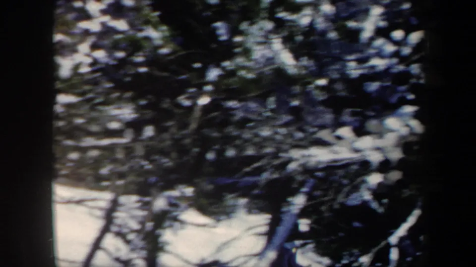 1962 Vermont 8mm frame showing snowy evergreen trees near a ski slope, with soft focus and dark film borders.