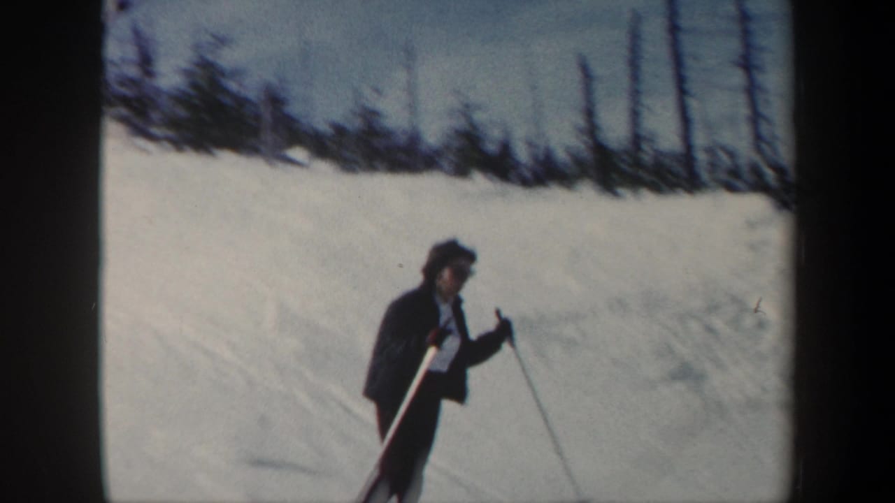 Helmeted skier in dark clothing standing on a snowy slope with poles.