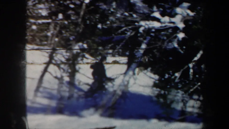 1962 Vermont home-movie frame with the skier partly hidden behind trees and blue-shadowed snow.