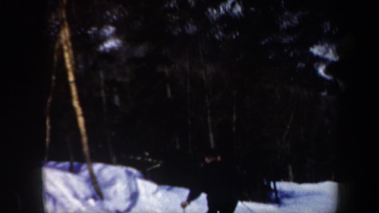 Snowy wooded area with a distant dark-clad person among trees.