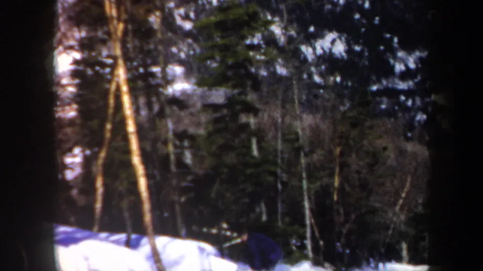 1962 Vermont 8mm view of snow-covered woodland, with bare birch-like trunks, evergreens, and dark frame borders.