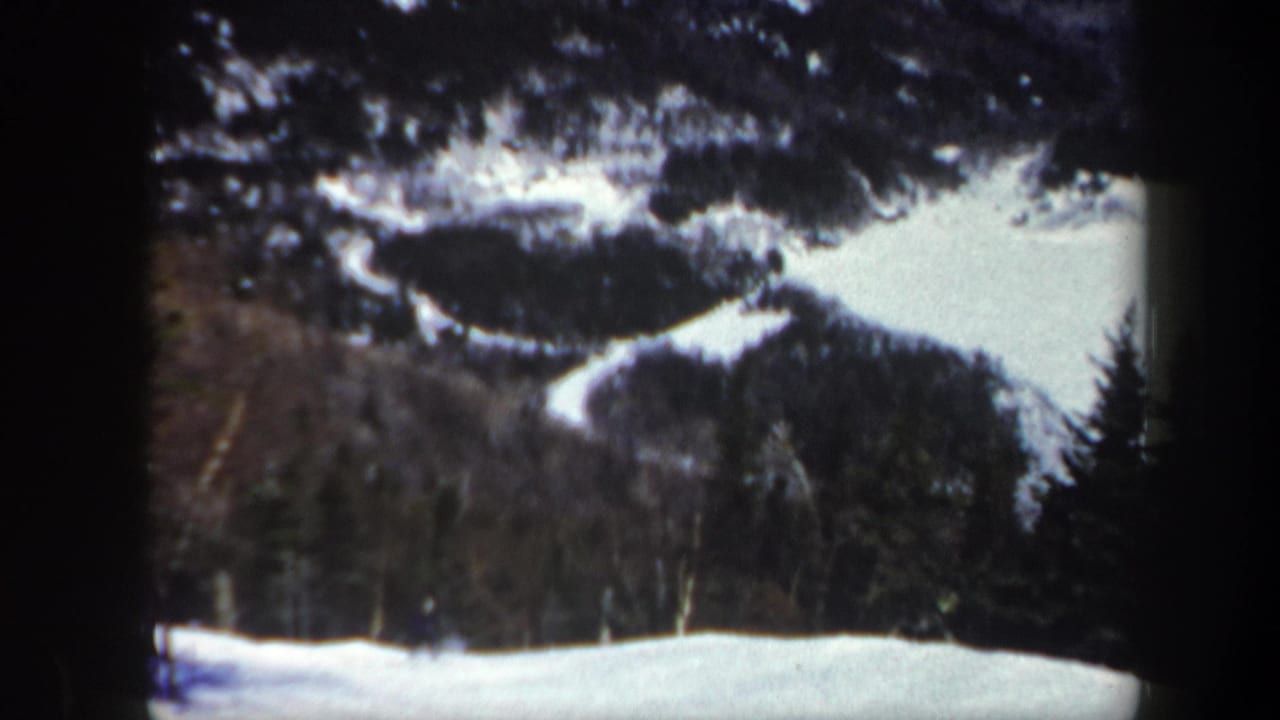Snowy hillside and forested mountain trails framed by dark tree cover.