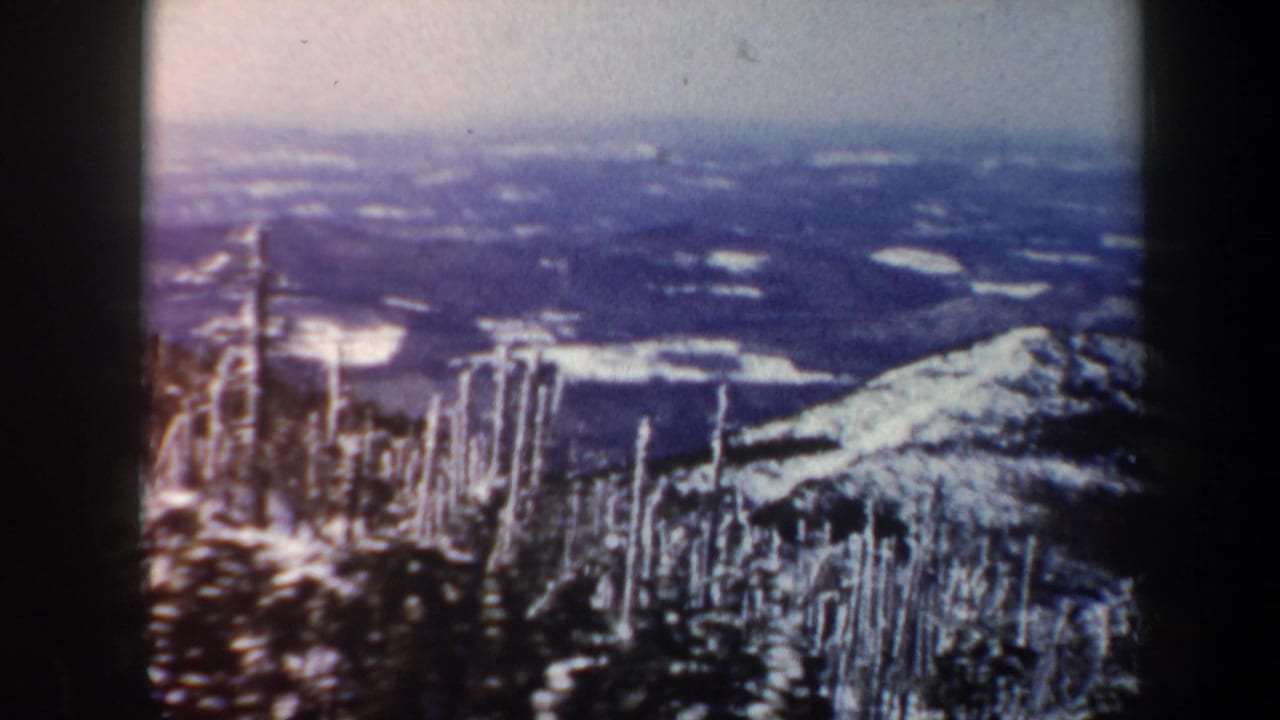 1962 Vermont winter view from height, with snow-covered trees in the foreground and a broad valley beyond.