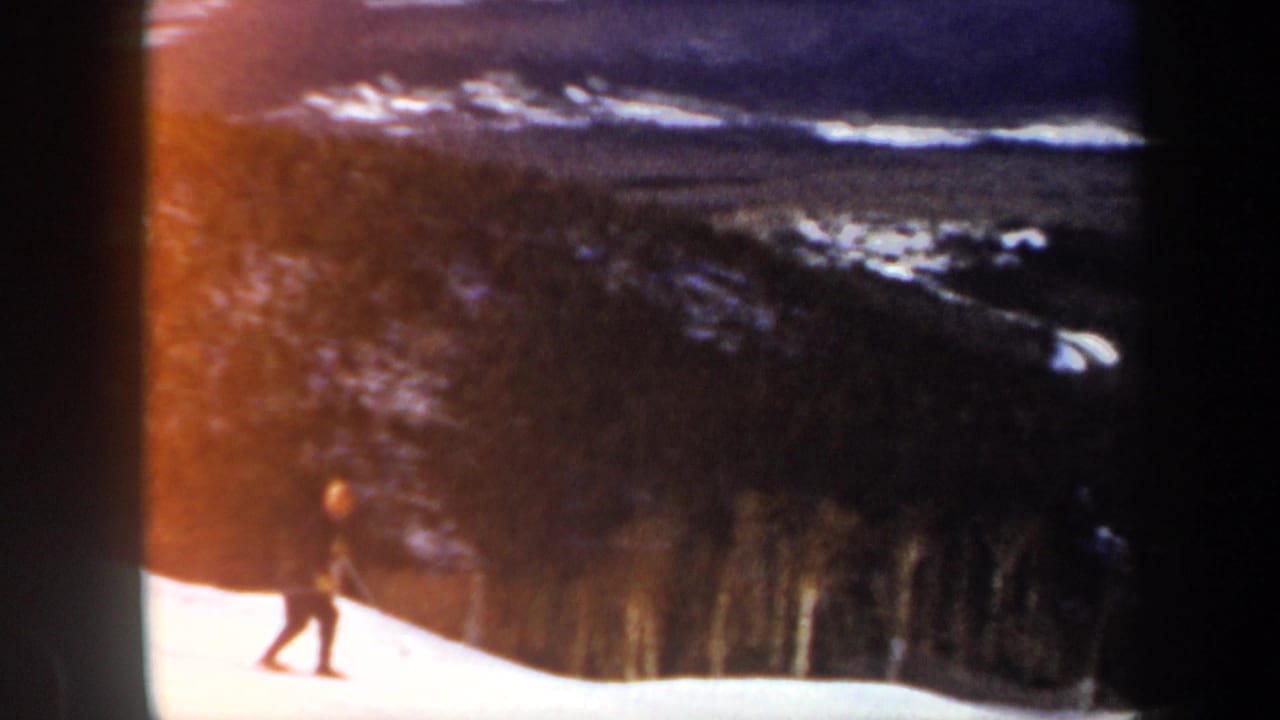 Skier in dark clothing gliding across a white slope with trees behind them.