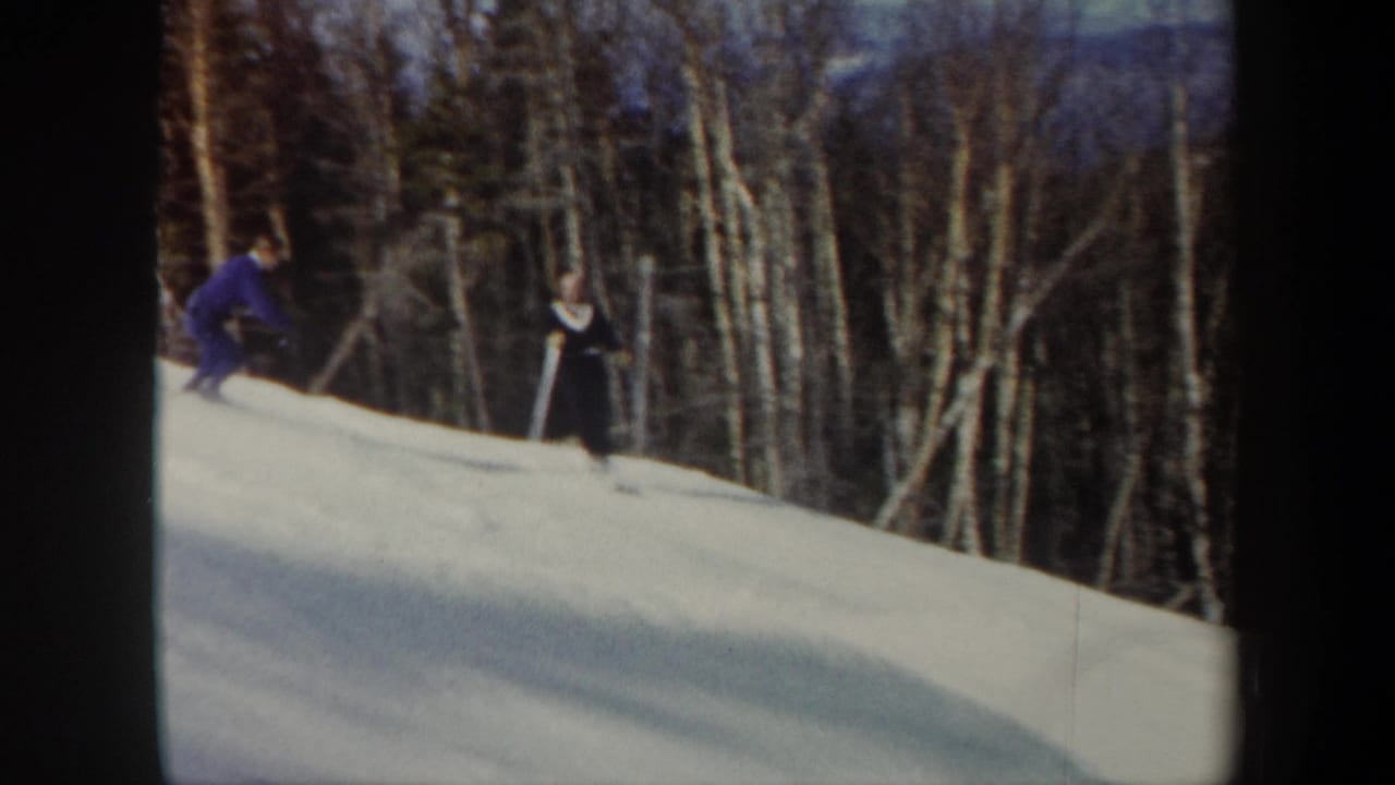 Two skiers on a snowy ridge with leafless trees behind them.